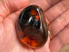 Mexican AMBER Crystal Pendant - Pendant Necklace, Handmade Jewelry, Healing Crystals and Stones, 48511-Throwin Stones