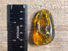 Mexican AMBER Crystal Pendant - Pendant Necklace, Handmade Jewelry, Healing Crystals and Stones, 48519-Throwin Stones