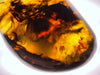 Mexican AMBER Crystal Pendant - Pendant Necklace, Handmade Jewelry, Healing Crystals and Stones, 48530-Throwin Stones