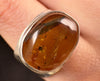 Natural AMBER Ring Insect - SIZE 8 - Genuine Sterling Silver Ring with a Polished AMBER Center Stone, 53787-Throwin Stones