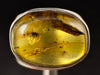 Natural AMBER Ring Insect - SIZE 8 - Genuine Sterling Silver Ring with a Polished AMBER Center Stone, 53787-Throwin Stones