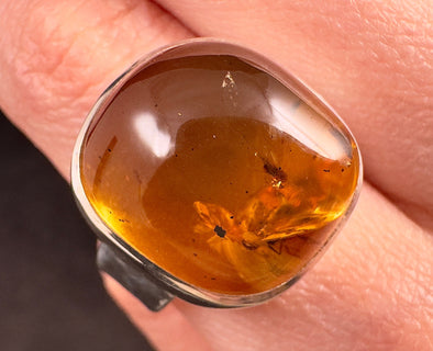 Natural AMBER Ring Insects - SIZE 7.5- Genuine Sterling Silver Ring with a Polished AMBER Center Stone, 53779-Throwin Stones