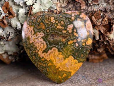OCEAN JASPER Crystal Heart - Crystal Cabochon, Jewelry Making, Self Care, Home Decor, E1676-Throwin Stones