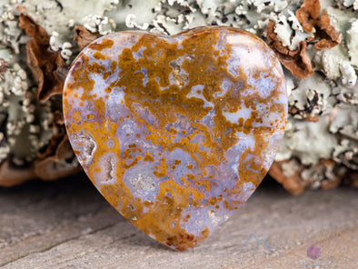OCEAN JASPER Crystal Heart - Crystal Cabochon, Jewelry Making, Self Care, Home Decor, E1676-Throwin Stones