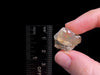 OPAL Raw Crystal - 2A Polished Window - Raw Opal Crystal, October Birthstone, Welo Opal, 48213-Throwin Stones