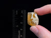 OPAL Raw Crystal - 3A Polished Window - Raw Opal Crystal, October Birthstone, Welo Opal, 48201-Throwin Stones