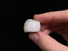 OPAL Raw Crystal - 3A-XL Polished Window - Raw Opal Crystal, October Birthstone, Welo Opal, 45290-Throwin Stones