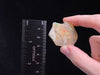 OPAL Raw Crystal - 3A-XL Polished Window - Raw Opal Crystal, October Birthstone, Welo Opal, 45336-Throwin Stones