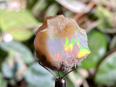 OPAL Raw Crystal - 3A-XL - Raw Opal Crystal, October Birthstone, Welo Opal, 44453-Throwin Stones
