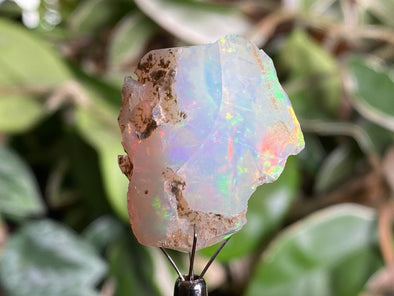 OPAL Raw Crystal - 3A-XL - Raw Opal Crystal, October Birthstone, Welo Opal, 44469-Throwin Stones