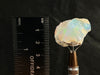 OPAL Raw Crystal - 4A, Cutting Grade - Raw Opal Crystal, October Birthstone, Welo Opal, 50081-Throwin Stones