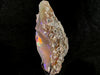 OPAL Raw Crystal - 4A+, Cutting Grade - Raw Opal Crystal, October Birthstone, Welo Opal, 50691-Throwin Stones
