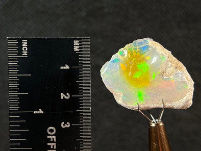 OPAL Raw Crystal - 4A-XL, Cutting Grade - Raw Opal Crystal, October Birthstone, Welo Opal, 50014-Throwin Stones