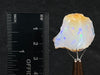 OPAL Raw Crystal - 4A-XL, Cutting Grade - Raw Opal Crystal, October Birthstone, Welo Opal, 50027-Throwin Stones