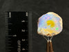 OPAL Raw Crystal - 4A-XL, Cutting Grade - Raw Opal Crystal, October Birthstone, Welo Opal, 50030-Throwin Stones