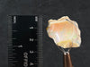 OPAL Raw Crystal - 4A-XL, Cutting Grade - Raw Opal Crystal, October Birthstone, Welo Opal, 50034-Throwin Stones