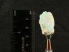 OPAL Raw Crystal - 4A-XL, Cutting Grade - Raw Opal Crystal, October Birthstone, Welo Opal, 50041-Throwin Stones