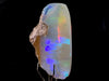 OPAL Raw Crystal - 5A Polished Window - Raw Opal Crystal, October Birthstone, Welo Opal, 50515-Throwin Stones