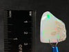 OPAL Raw Crystal - 5A Polished Window - Raw Opal Crystal, October Birthstone, Welo Opal, 50534-Throwin Stones