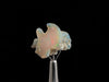 OPAL Raw Crystal - AAA Grade - Opal Jewelry Making, Certified Opal Gemstone, Welo Opal, 50165-Throwin Stones