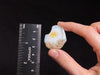 OPAL Raw Crystal - AAA Polished Window - Raw Opal Crystal, October Birthstone, Welo Opal, 44623-Throwin Stones