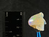OPAL Raw Crystal - AAA Polished Window - Raw Opal Crystal, October Birthstone, Welo Opal, 50563-Throwin Stones