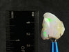 OPAL Raw Crystal - AAA Polished Window - Raw Opal Crystal, October Birthstone, Welo Opal, 50580-Throwin Stones