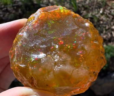 OPAL Raw Crystal - Floating Opal, A Grade - Ethiopian Opal Vial, Water Opal, Welo Opal, 51929-Throwin Stones