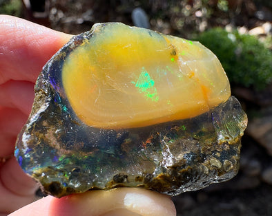 OPAL Raw Crystal - Floating Opal, A Grade - Ethiopian Opal Vial, Water Opal, Welo Opal, 51935-Throwin Stones