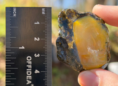OPAL Raw Crystal - Floating Opal, A Grade - Ethiopian Opal Vial, Water Opal, Welo Opal, 51935-Throwin Stones