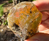 OPAL Raw Crystal - Floating Opal, A Grade - Ethiopian Opal Vial, Water Opal, Welo Opal, 51938-Throwin Stones