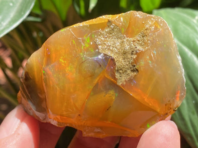 OPAL Raw Crystal - Floating Opal, B Grade - Ethiopian Opal Vial, Water Opal, Welo Opal, 47129-Throwin Stones