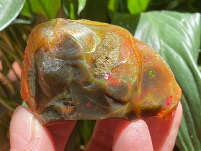 OPAL Raw Crystal - Floating Opal, B Grade - Ethiopian Opal Vial, Water Opal, Welo Opal, 47129-Throwin Stones