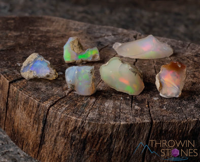 OPAL Raw Crystals - A Grade, Small - Bulk Raw Opal, Rough Opal Lot, Welo Opal, E0088-Throwin Stones