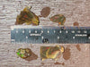 OPAL Raw Crystals - Floating Opals, B Grade Lot - Ethiopian Opal Vial, Water Opal, Welo Opal, 47183-Throwin Stones