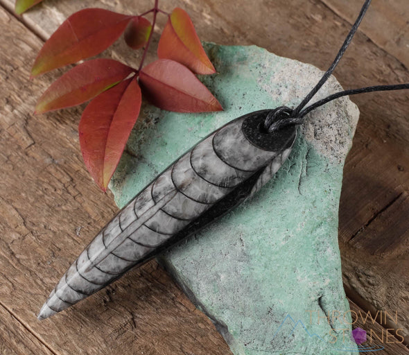 ORTHOCERAS FOSSIL Pendant - Handmade Jewelry, Healing Crystals and Stones, E0358-Throwin Stones