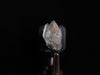 PAPAGOITE in QUARTZ, Raw Crystal - Rare, Metaphysical, Healing Crystals and Stones, 44677-Throwin Stones