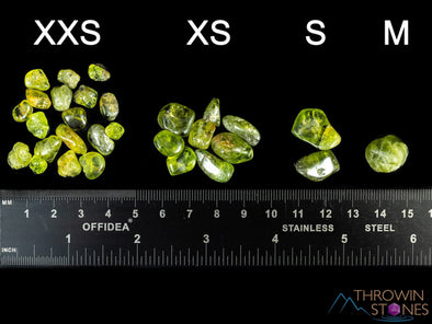 PERIDOT Crystal Chips - Small Tumbled Crystals, Birthstones and Gemstones for Jewelry Making, E0739-Throwin Stones