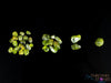 PERIDOT Crystal Chips - Small Tumbled Crystals, Birthstones and Gemstones for Jewelry Making, E0739-Throwin Stones