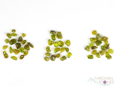 PERIDOT Crystal Chips - Small Tumbled Crystals, Birthstones and Gemstones for Jewelry Making, E0739-Throwin Stones