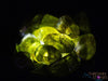 PERIDOT Crystal Chips - Small Tumbled Crystals, Birthstones and Gemstones for Jewelry Making, E0739-Throwin Stones