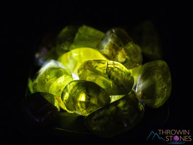 PERIDOT Crystal Chips - Small Tumbled Crystals, Birthstones and Gemstones for Jewelry Making, E0739-Throwin Stones