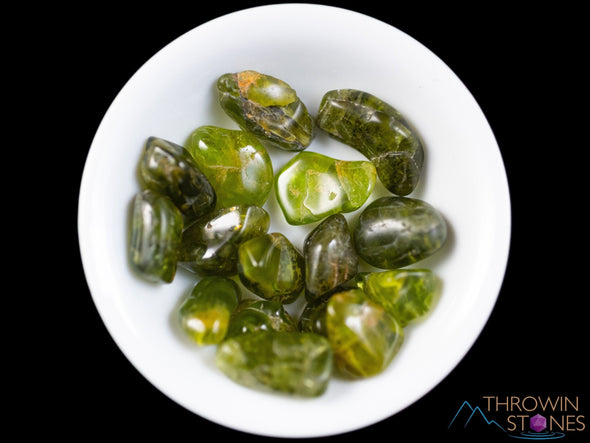 PERIDOT Crystal Chips - Small Tumbled Crystals, Birthstones and Gemstones for Jewelry Making, E0739-Throwin Stones