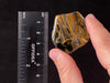 PIETERSITE Tumbled Crystal - Tigers Eye, Self Care, Healing Crystals and Stones, Metaphysical, 45776-Throwin Stones