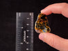 PIETERSITE Tumbled Crystal - Tigers Eye, Self Care, Healing Crystals and Stones, Metaphysical, 45778-Throwin Stones