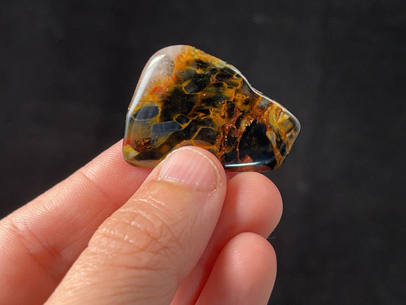 PIETERSITE Tumbled Crystal - Tigers Eye, Self Care, Healing Crystals and Stones, Metaphysical, 45778-Throwin Stones