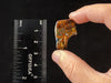 PIETERSITE Tumbled Crystal - Tigers Eye, Self Care, Healing Crystals and Stones, Metaphysical, 45865-Throwin Stones