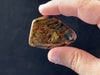 PIETERSITE Tumbled Stone - Tigers Eye, Housewarming Gift, Rustic Home Decor, 45721-Throwin Stones