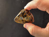 PIETERSITE Tumbled Stone - Tigers Eye, Housewarming Gift, Rustic Home Decor, 45724-Throwin Stones