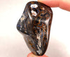 PIETERSITE Tumbled Stone - Tigers Eye, Housewarming Gift, Rustic Home Decor, 52343-Throwin Stones